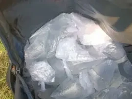 वन दरोगा को देखते ही कच्ची शराब का बैग छोड़ भागा तस्कर, जंगल में छापेमारी से मचा हड़कंप